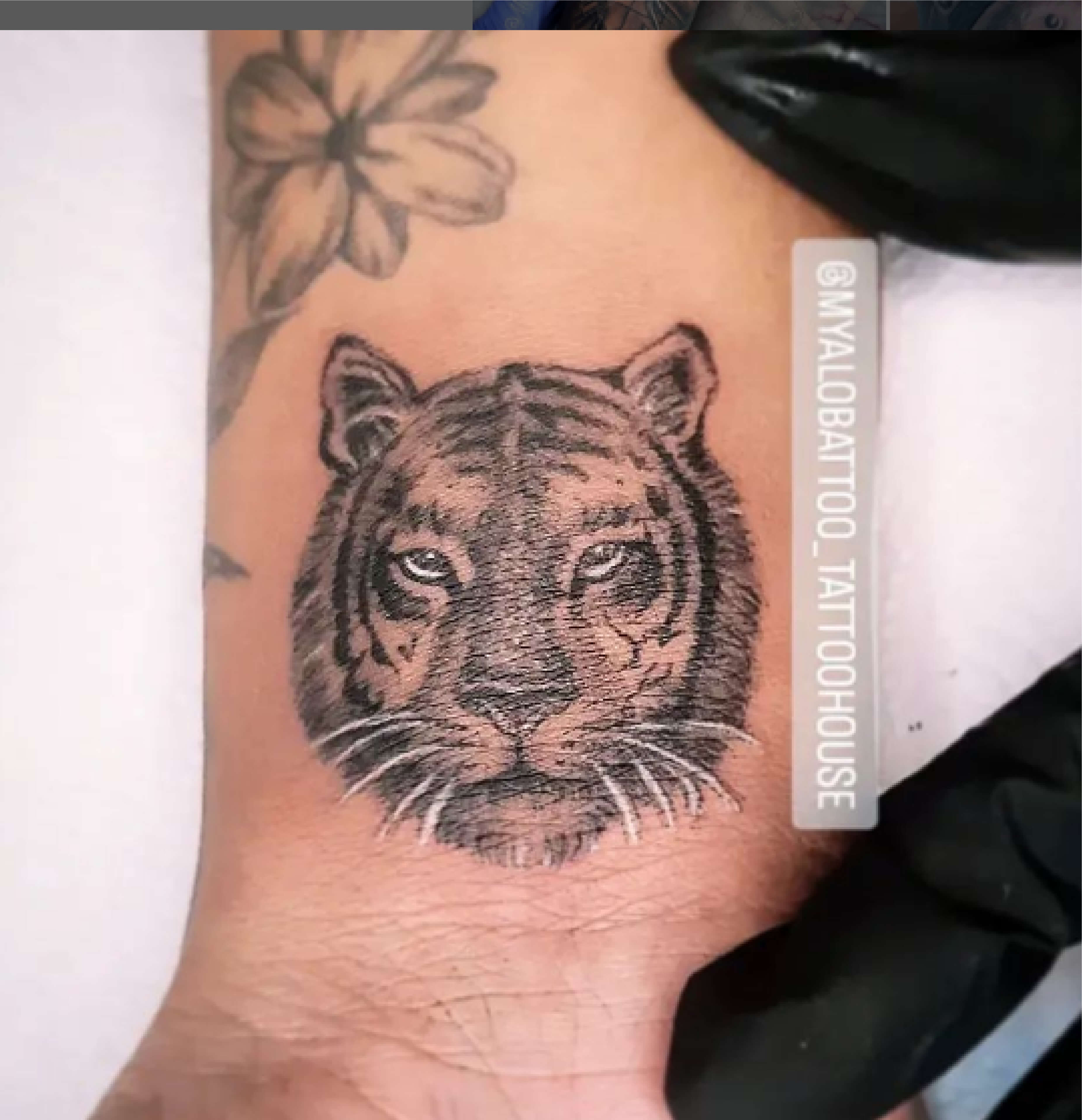 Tattoos Variadas_Mini realismo tigre